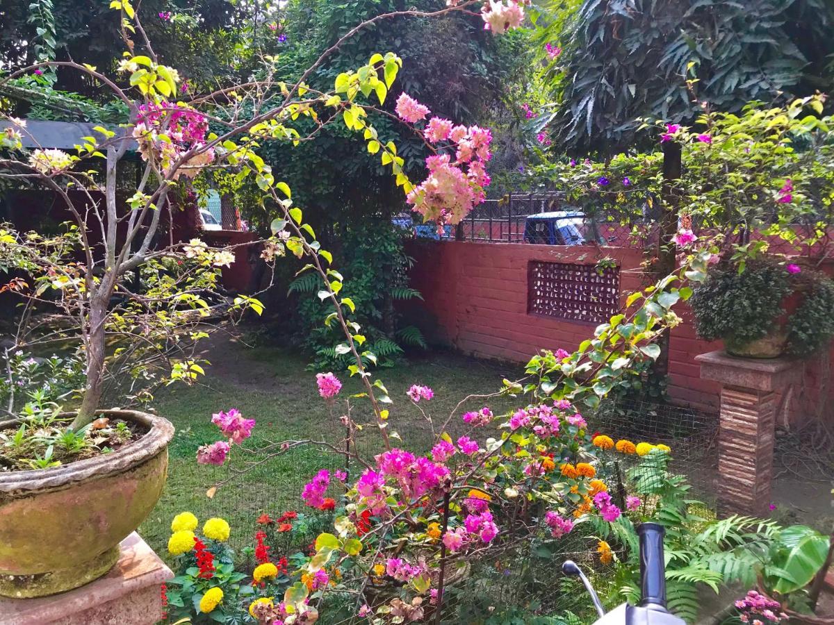 Bougainvillea Guwahati Exterior photo